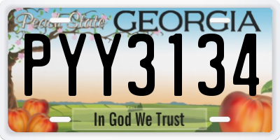 GA license plate PYY3134