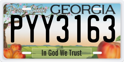GA license plate PYY3163