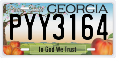 GA license plate PYY3164