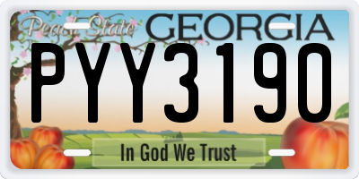 GA license plate PYY3190
