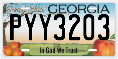 GA license plate PYY3203