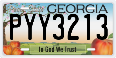GA license plate PYY3213