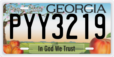 GA license plate PYY3219