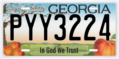 GA license plate PYY3224