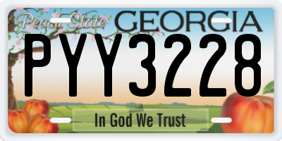 GA license plate PYY3228