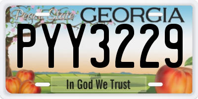 GA license plate PYY3229
