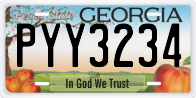 GA license plate PYY3234