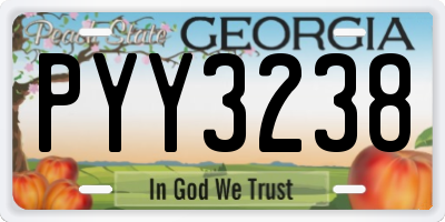 GA license plate PYY3238