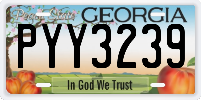 GA license plate PYY3239