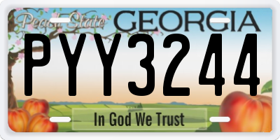GA license plate PYY3244