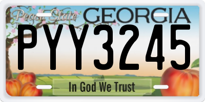 GA license plate PYY3245