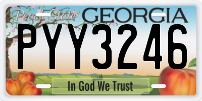 GA license plate PYY3246