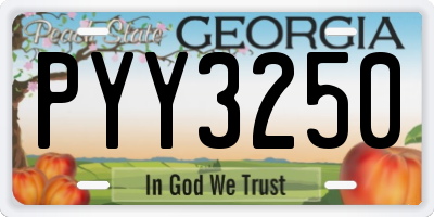 GA license plate PYY3250