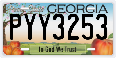 GA license plate PYY3253