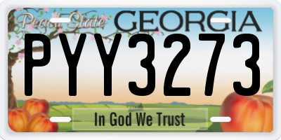 GA license plate PYY3273