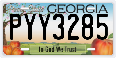 GA license plate PYY3285