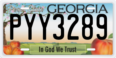 GA license plate PYY3289
