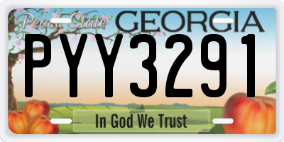 GA license plate PYY3291