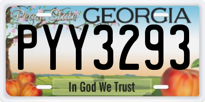 GA license plate PYY3293