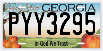 GA license plate PYY3295