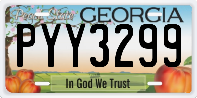 GA license plate PYY3299