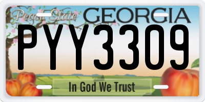 GA license plate PYY3309