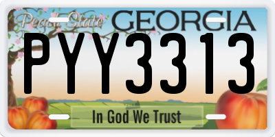 GA license plate PYY3313