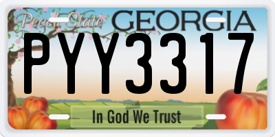 GA license plate PYY3317