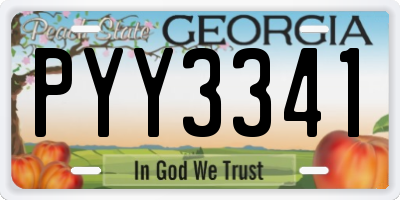 GA license plate PYY3341