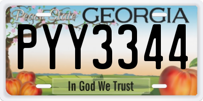 GA license plate PYY3344