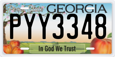 GA license plate PYY3348