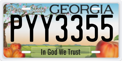 GA license plate PYY3355