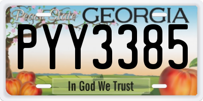 GA license plate PYY3385