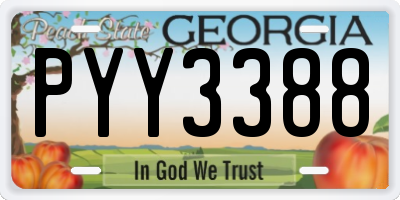 GA license plate PYY3388