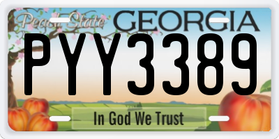 GA license plate PYY3389