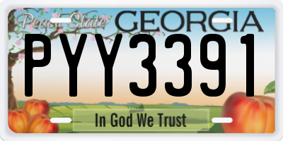 GA license plate PYY3391