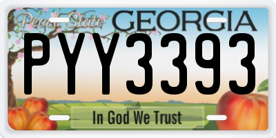 GA license plate PYY3393