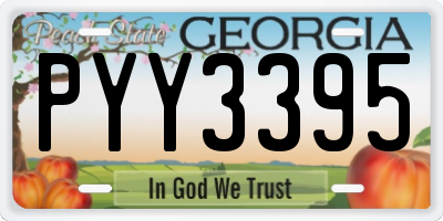 GA license plate PYY3395