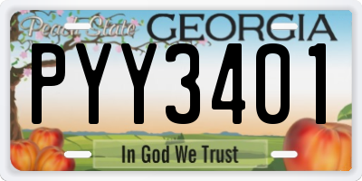GA license plate PYY3401