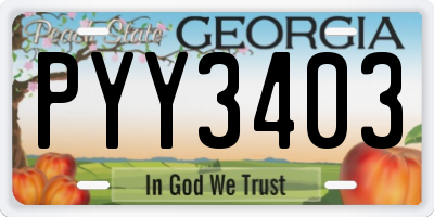 GA license plate PYY3403