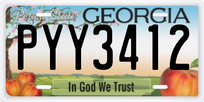 GA license plate PYY3412