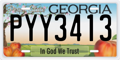 GA license plate PYY3413