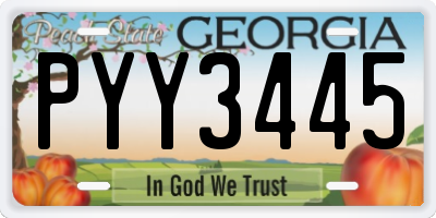 GA license plate PYY3445