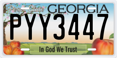 GA license plate PYY3447