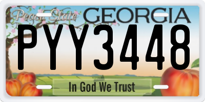 GA license plate PYY3448