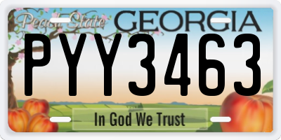 GA license plate PYY3463