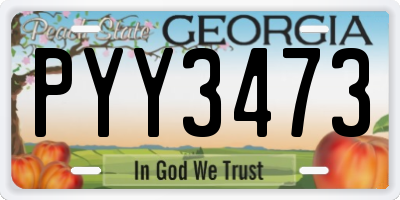 GA license plate PYY3473