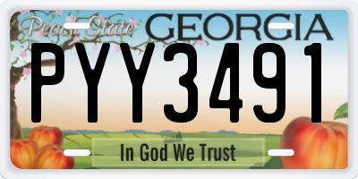 GA license plate PYY3491