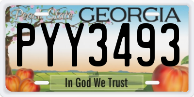 GA license plate PYY3493