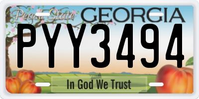 GA license plate PYY3494